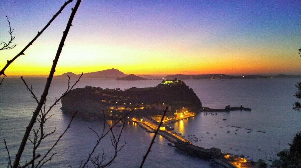 Nisida is a volcanic islet of the Flegrean Islands archipelago, in southern Italy. It lies at a very short distance from Cape Posillipo, just north of Naples; it is now connected to the mainland by a stone bridge. The islet is almost circular, with a flooded crater forming the bay of Porto Paone on the southwest coast. It has a diameter of about 0.5 kilometres (0.3 miles) and a highest altitude of 105 metres (344 feet).
The name of the island comes from the Greek for "islet" (small island), νησίς.