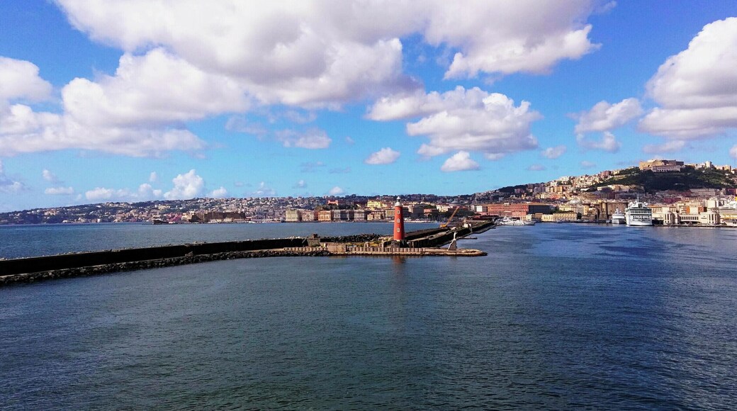 The Port of Naples is one of the largest Italian seaports and one of the largest seaports in the Mediterranean Sea basin.