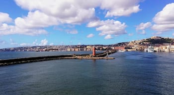 The Port of Naples is one of the largest Italian seaports and one of the largest seaports in the Mediterranean Sea basin.