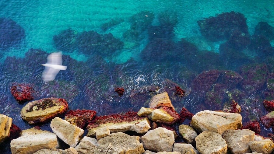 From the balcony of Palazzo Donn'Anna.