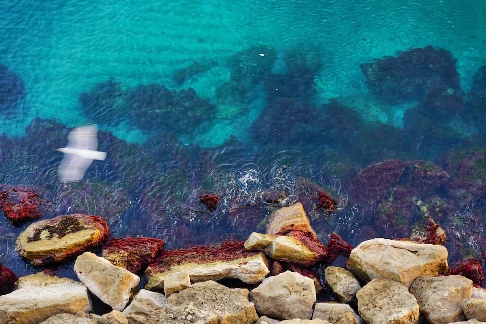 Mar azul cristalina con rocas y formaciones de coral.