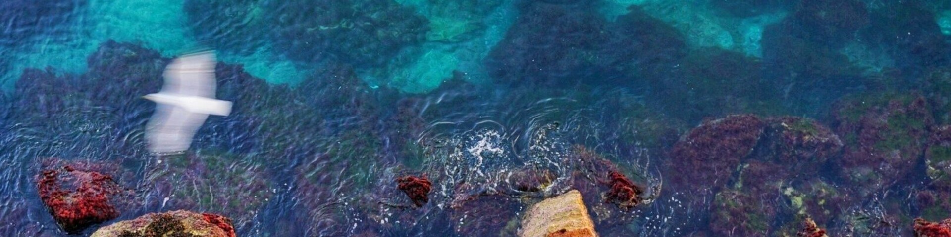 From the balcony of Palazzo Donn'Anna.