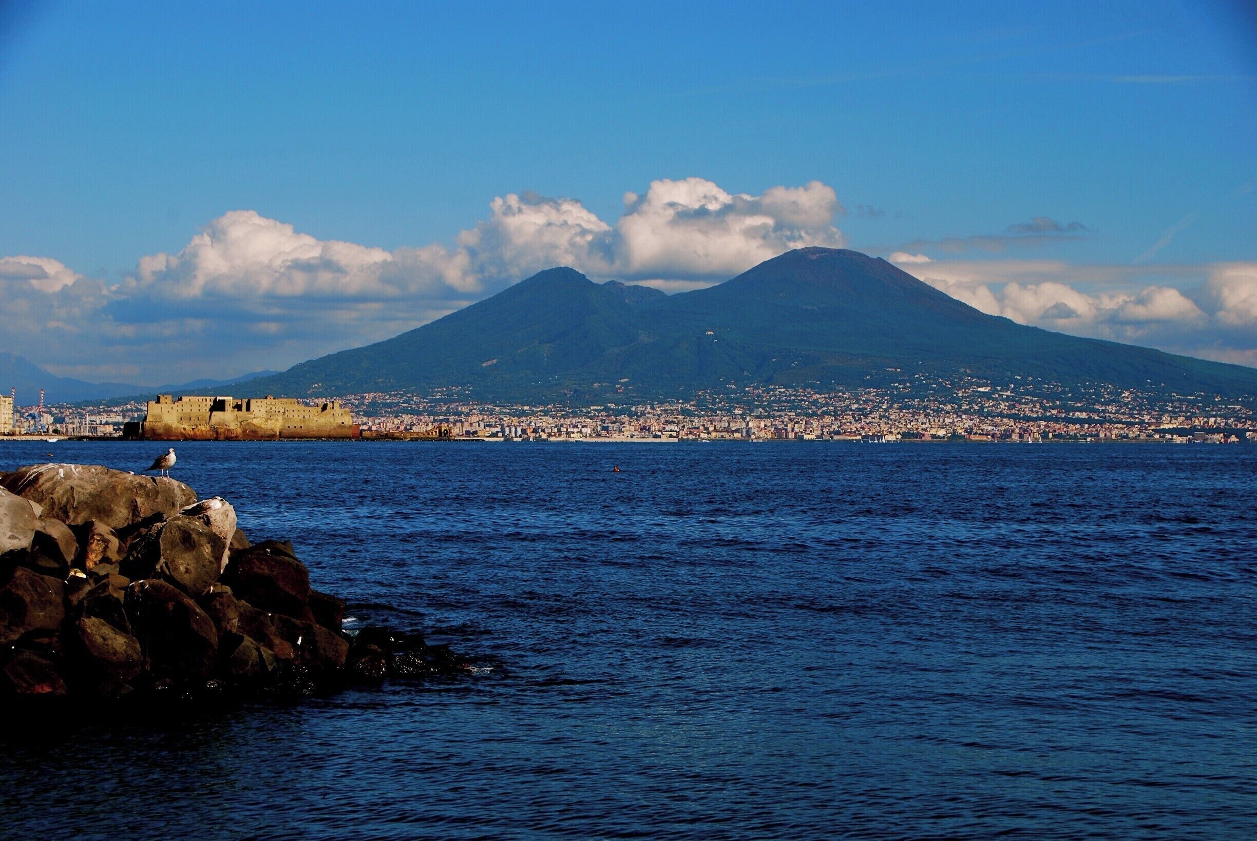 A coastal city with a prominent mountain in the background.