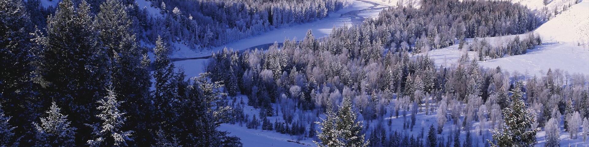 Jackson Hole which includes snow, landscape views and mountains