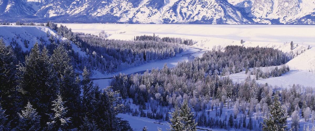 A snow-covered mountain range with dense forests in the foreground.
