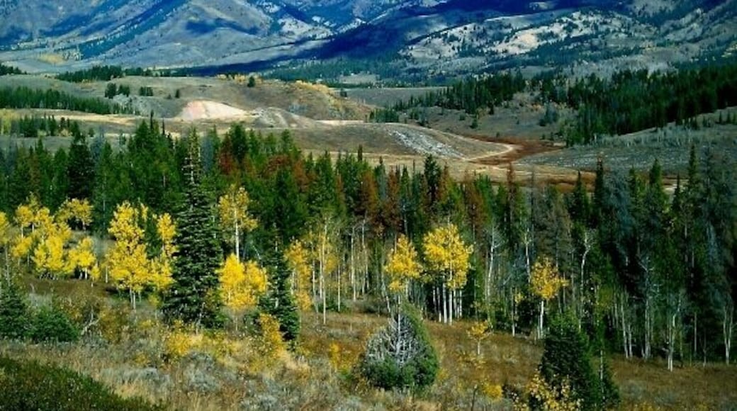 On the road in to star valley from the south
