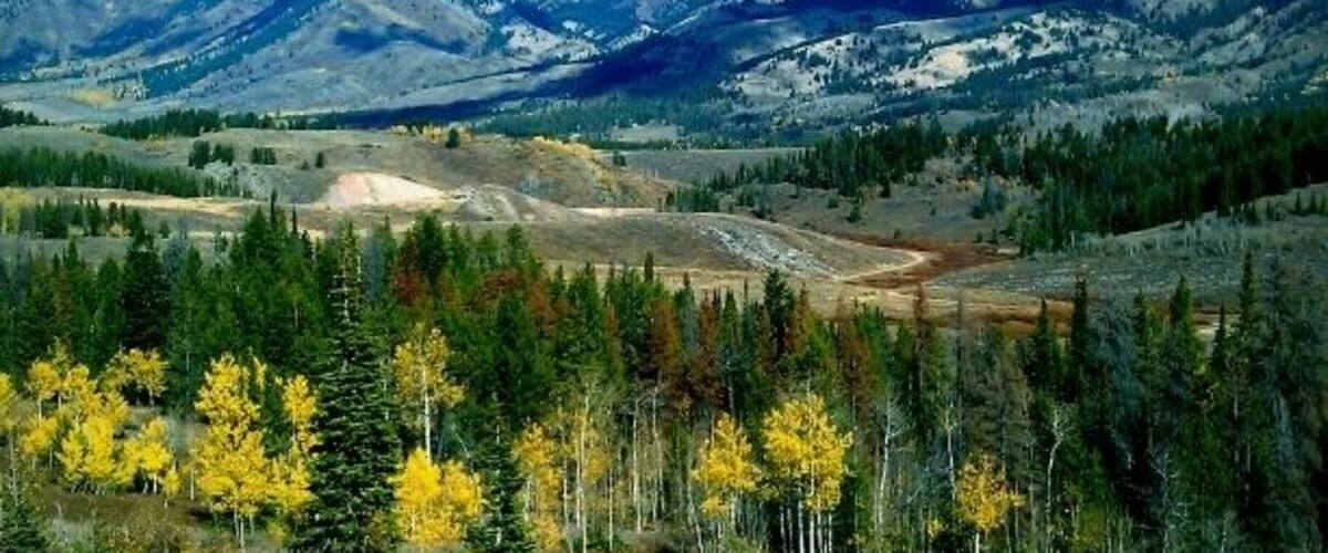 On the road in to star valley from the south