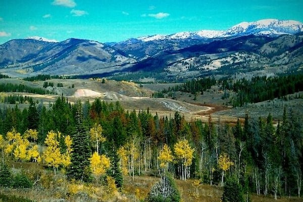 A mountainous landscape with snow-capped peaks, a forested valley, and a dirt road.