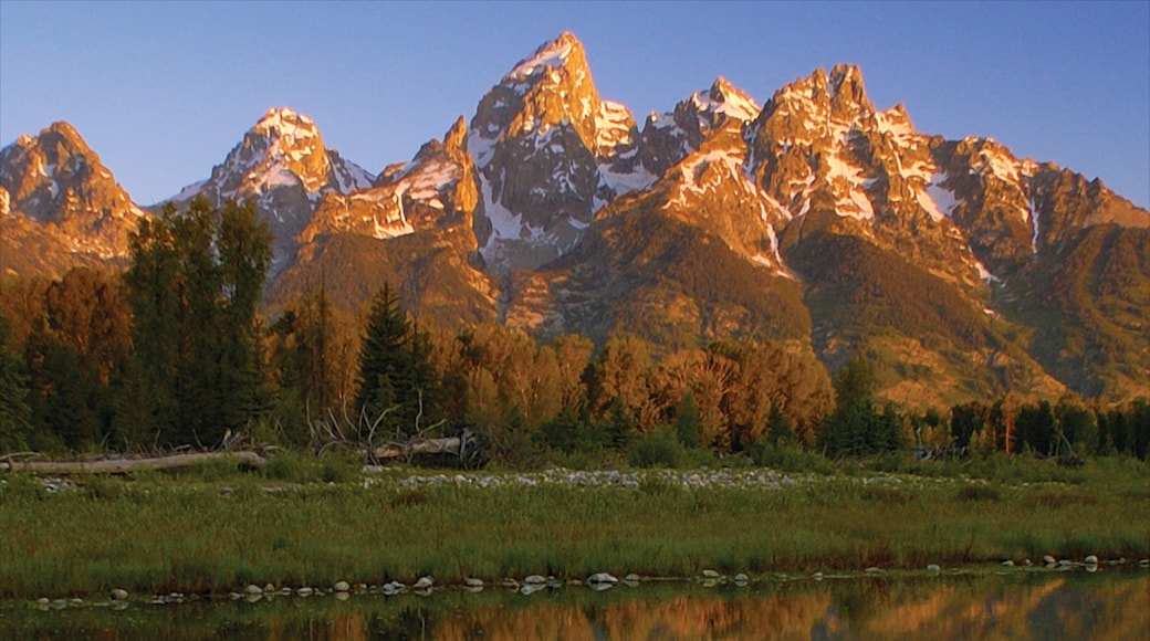 Jackson Hole featuring autumn colours, a lake or waterhole and mountains
