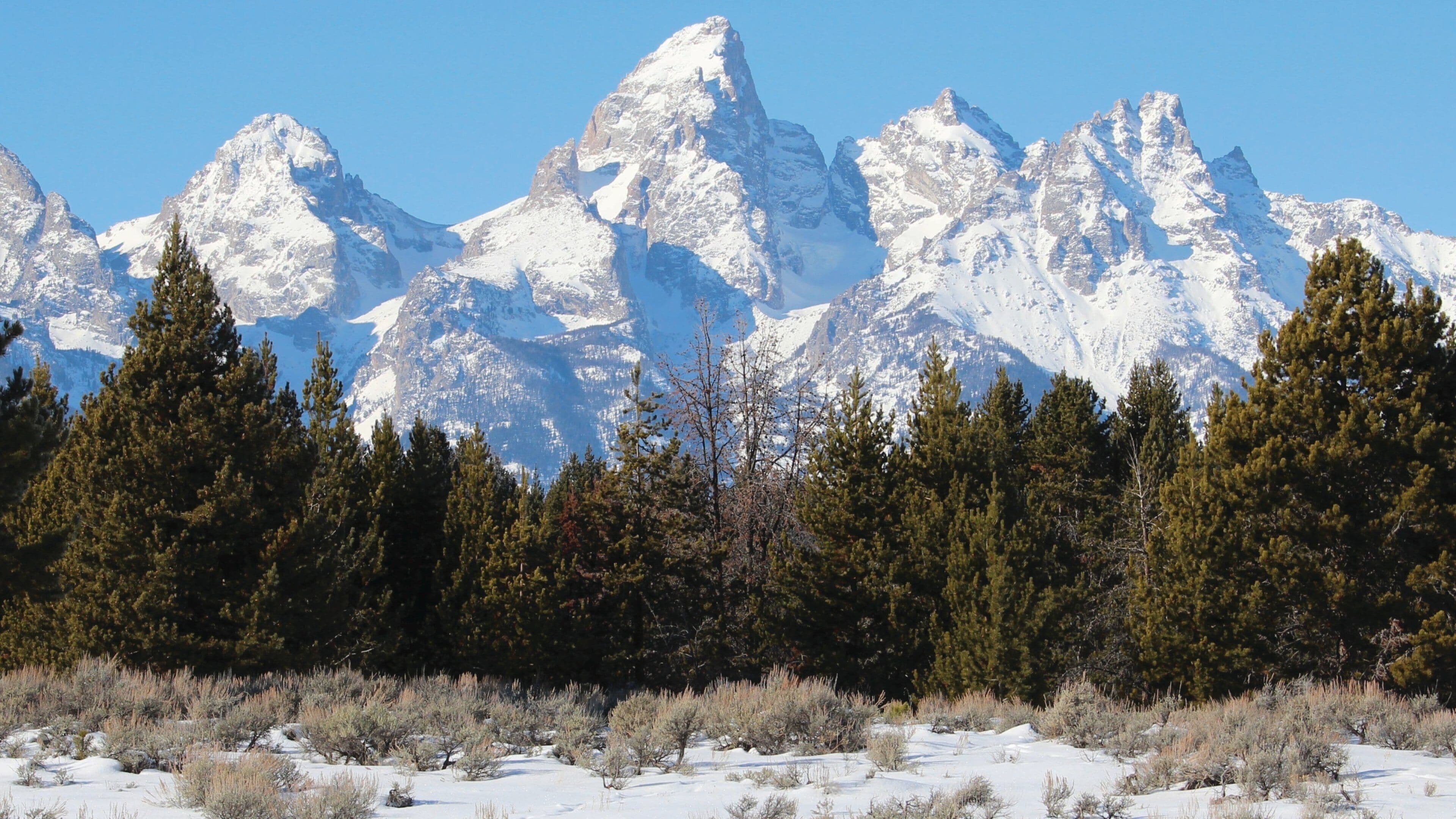 Wyoming featuring landscape views, mountains and snow