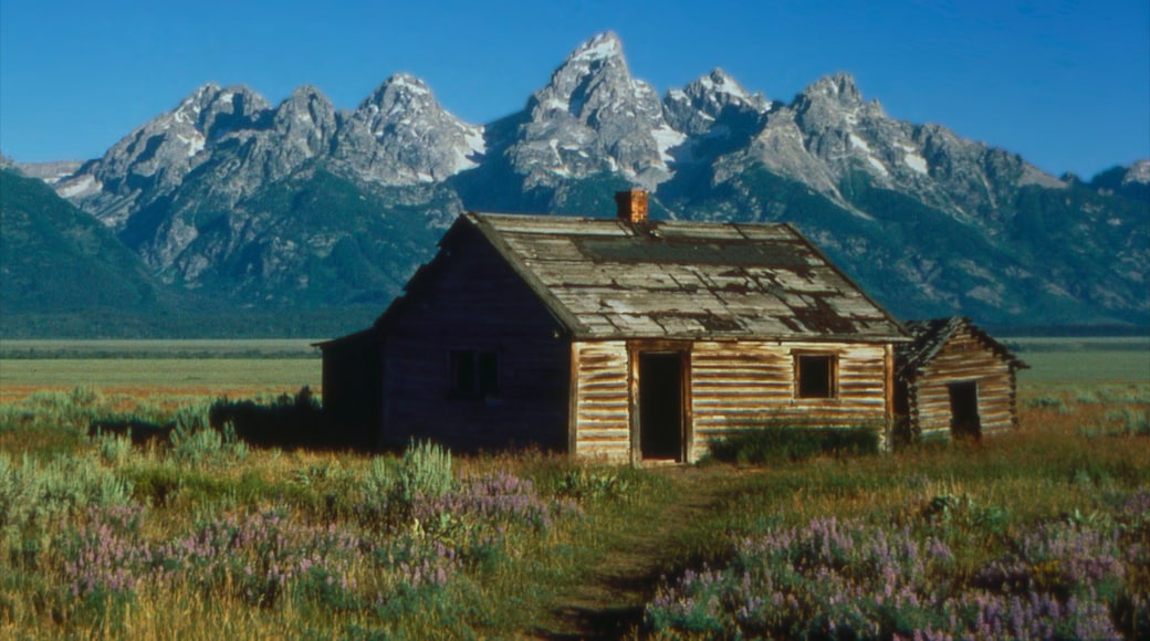 Jackson Hole featuring a house, heritage architecture and landscape views