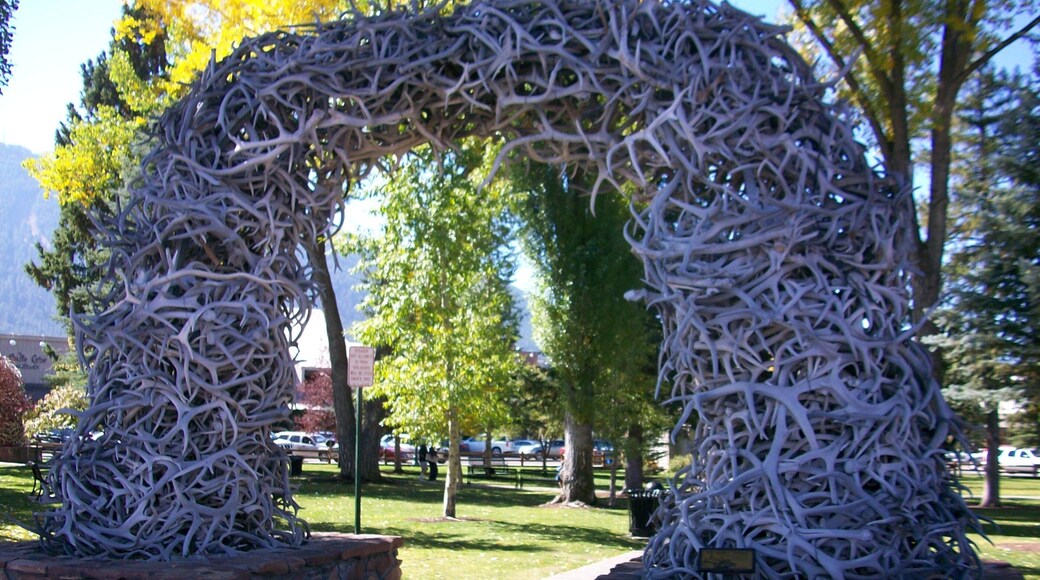 Jackson Hole welches beinhaltet Outdoor-Kunst und Park