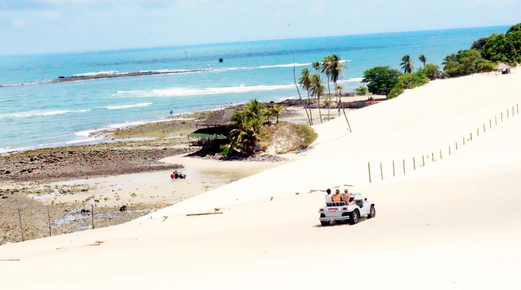 Sandy ride in a buggy along the gorgeous beach in Natal, Brazil.