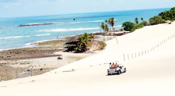 Sandy ride in a buggy along the gorgeous beach in Natal, Brazil.