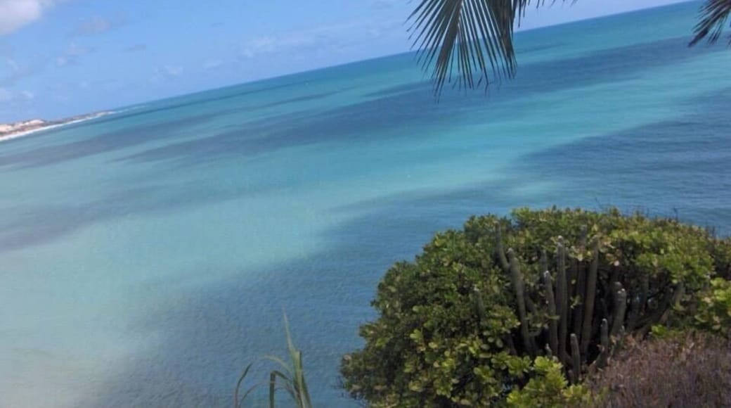 Green and blue sea....
#blue