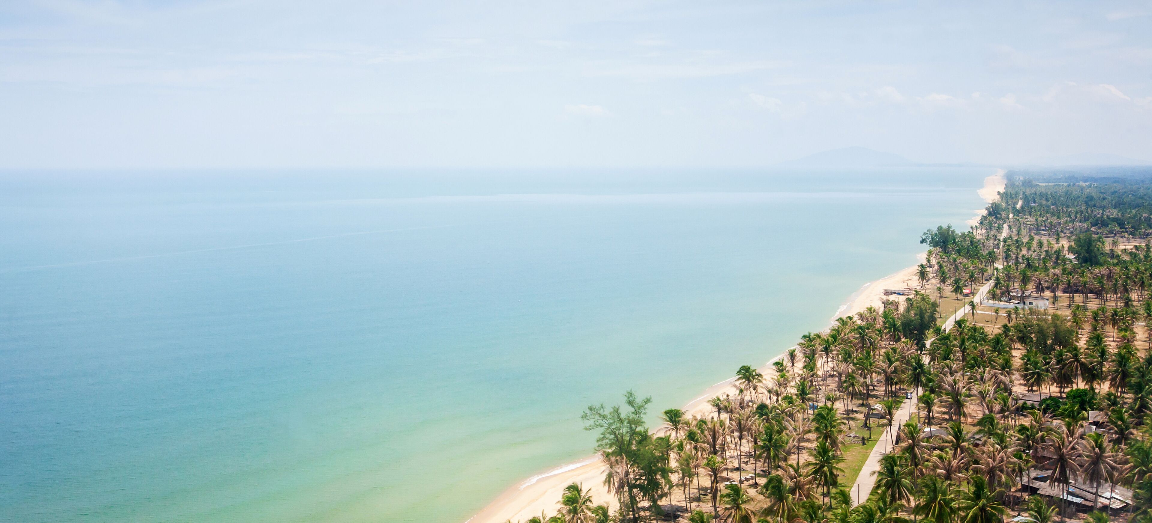 Aerial view of sea coast at Narathiwat in Southern thailand, beautiful sand beach and coconut palm trees.