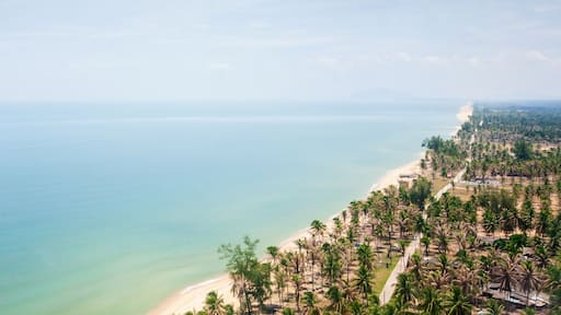 Aerial view of sea coast at Narathiwat in Southern thailand, beautiful sand beach and coconut palm trees.