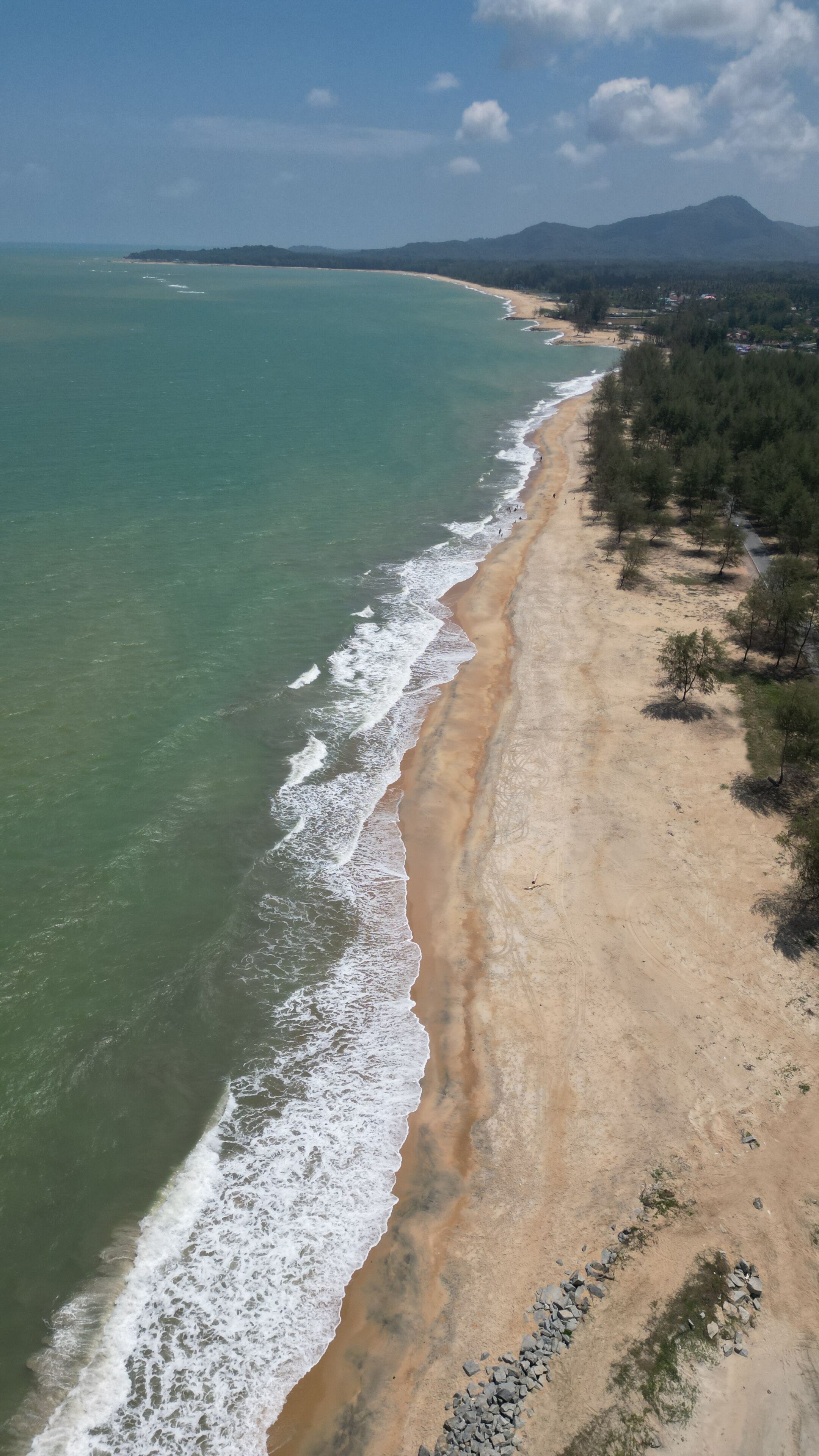 Un paisaje costero con una playa arenosa, olas del océano y un área boscosa con montañas al fondo.