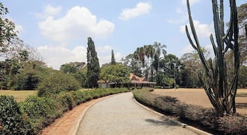 Most of my friends are too young to have a clue what house this is in Nairobi , but for me as a fan of the book and movie it was cool to visit at the base of the Ngong hills. Have a guess whos house it was?