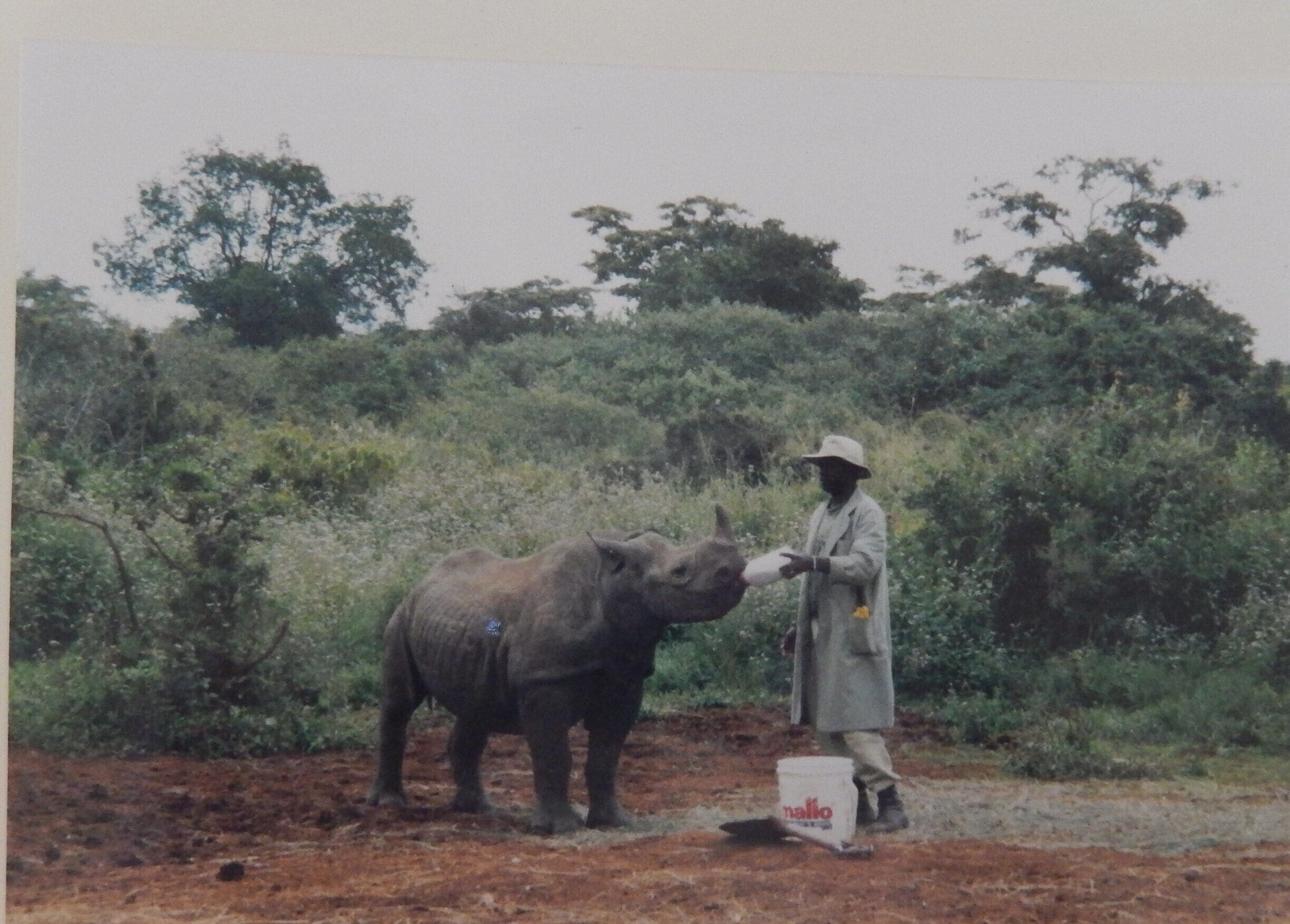 A protected place for baby rhinos and elephants.