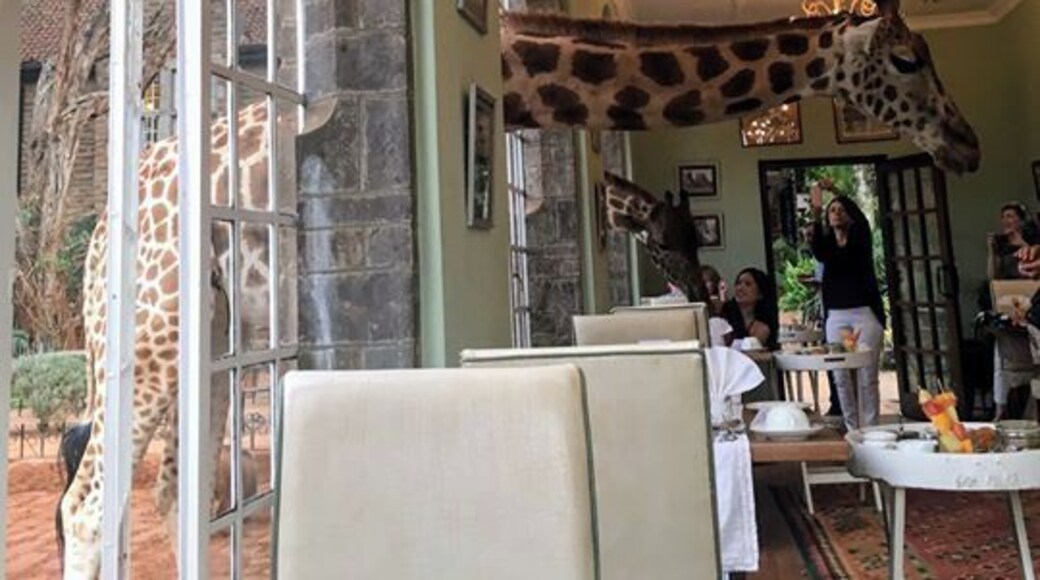 Giraffe manor... yeah it really is that cool :) If you ever get a chance just do it !!
#troveontuesday