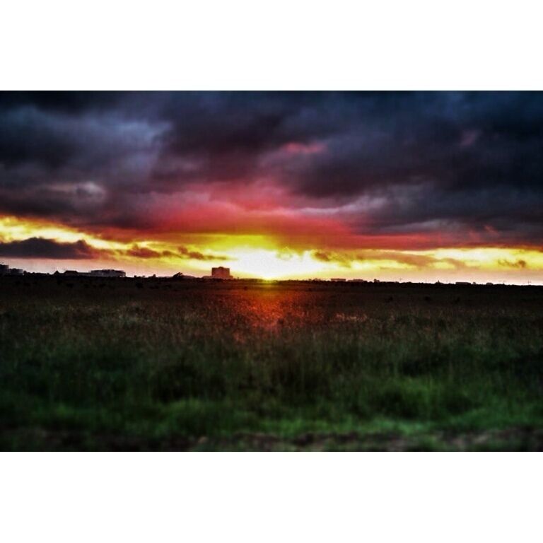 Sunrise at the savana. Only a simple fence is between the city and the wild lions. The city is expanding so fast the savana soon will be directly linked with it. You can spot a few building of Nairobi in the background