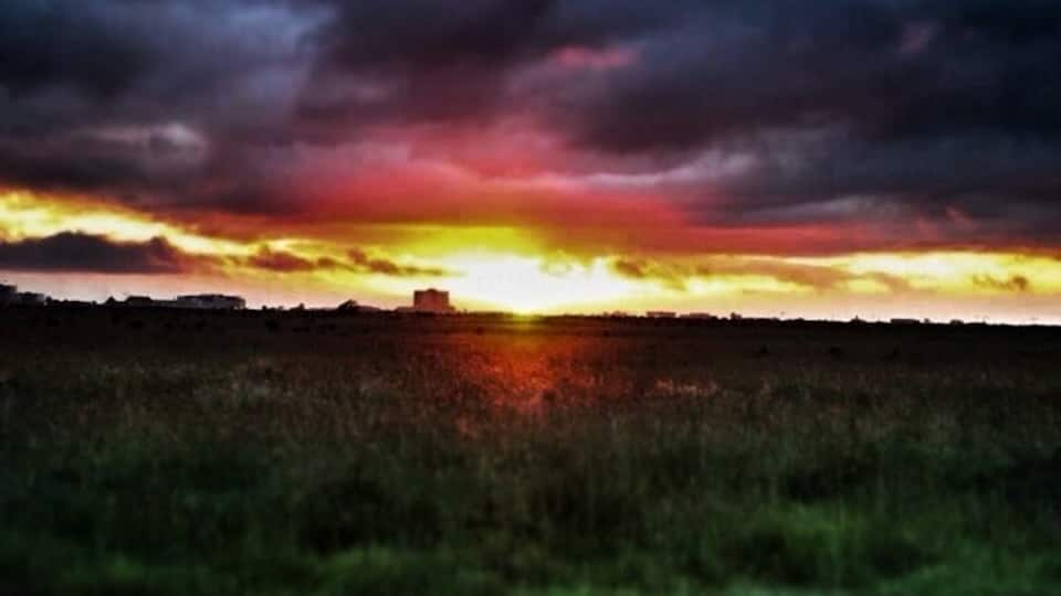 Sunrise at the savana. Only a simple fence is between the city and the wild lions. The city is expanding so fast the savana soon will be directly linked with it. You can spot a few building of Nairobi in the background