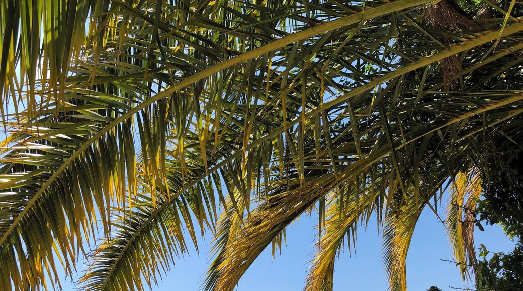 Interesting museum near the Matisse museum.