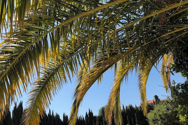 Interesting museum near the Matisse museum.