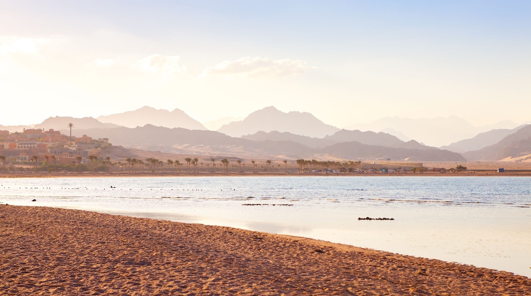 Nabq coast in the north of Sharm El Sheikh at sunset, Aqaba Gulf, South Sinai, Egypt.
