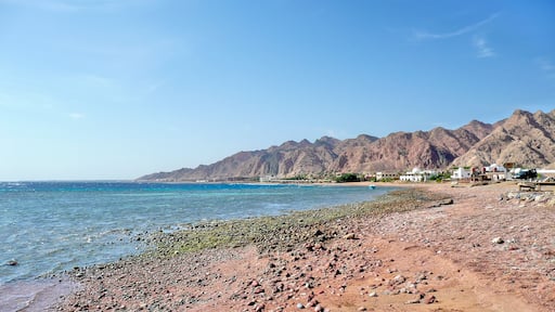 Coastal landscape north of Dahab, Sinai, Egypt, looking south — sunlit shoreline with distant buildings and the rugged mountain range rising beyond the Red Sea