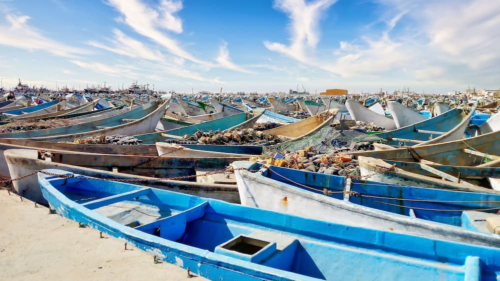 Vibrant fishing fleet docked at Nouadhibou Harbor on a bright sunny day