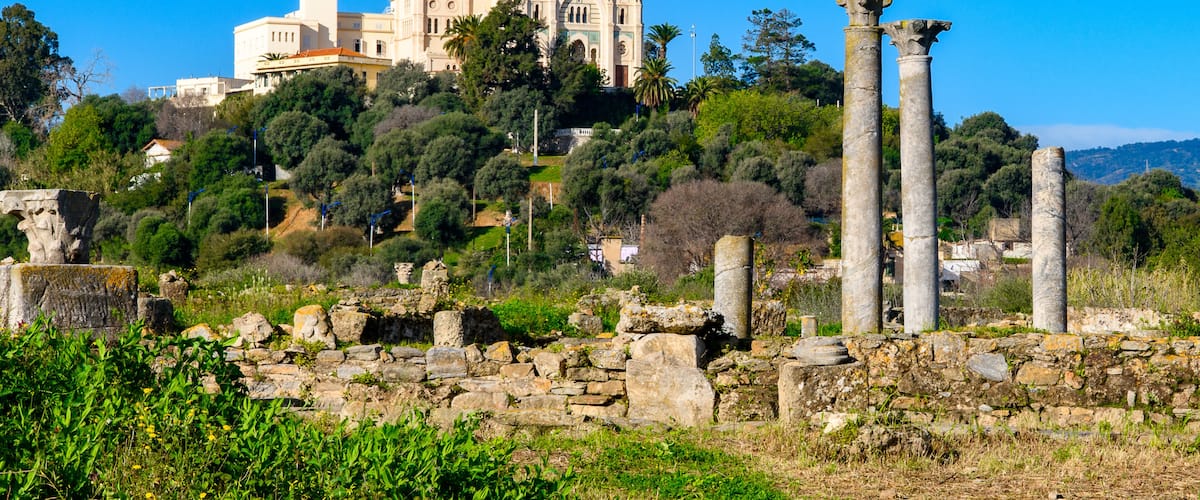 Uma catedral histórica com duas torres, colunas antigas e vegetação exuberante.