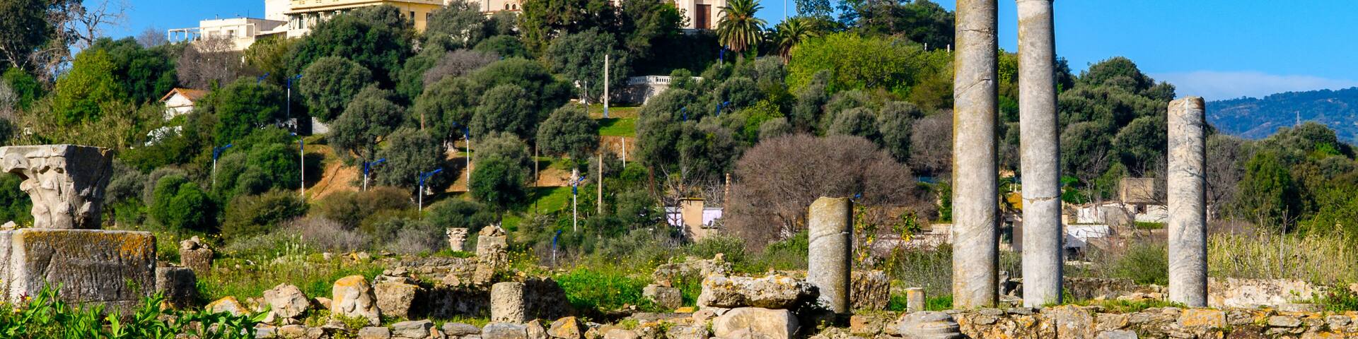 A historic cathedral with two towers, ancient columns, and lush greenery.