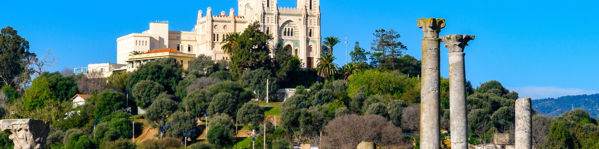 Una catedral histórica con dos torres, columnas antiguas y abundante vegetación.