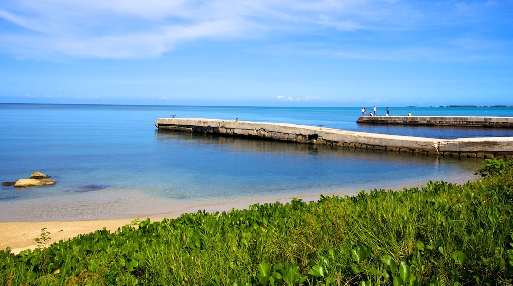 Negril showing a sandy beach and tropical scenes