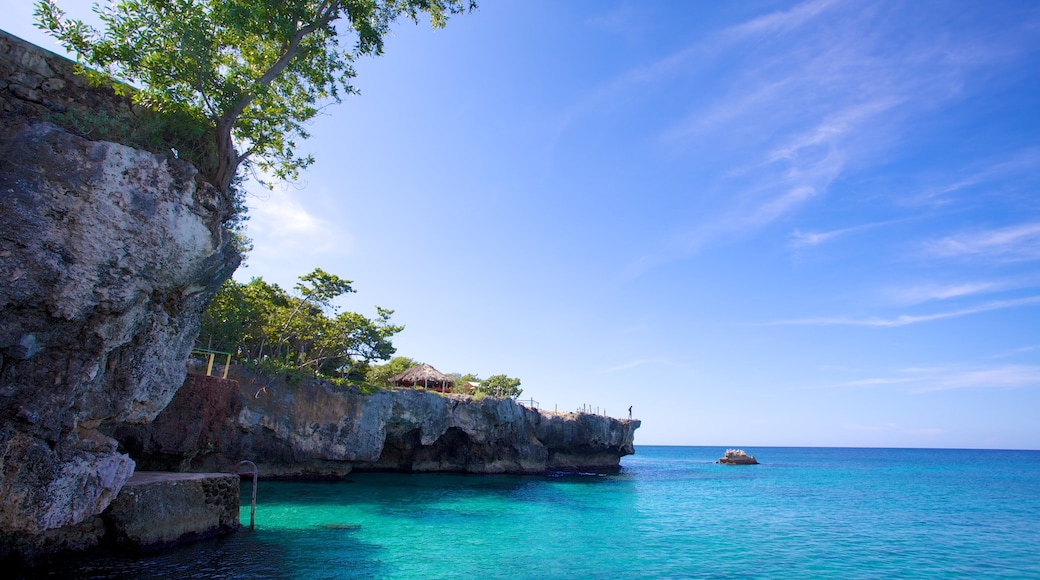 Negril featuring rocky coastline and tropical scenes