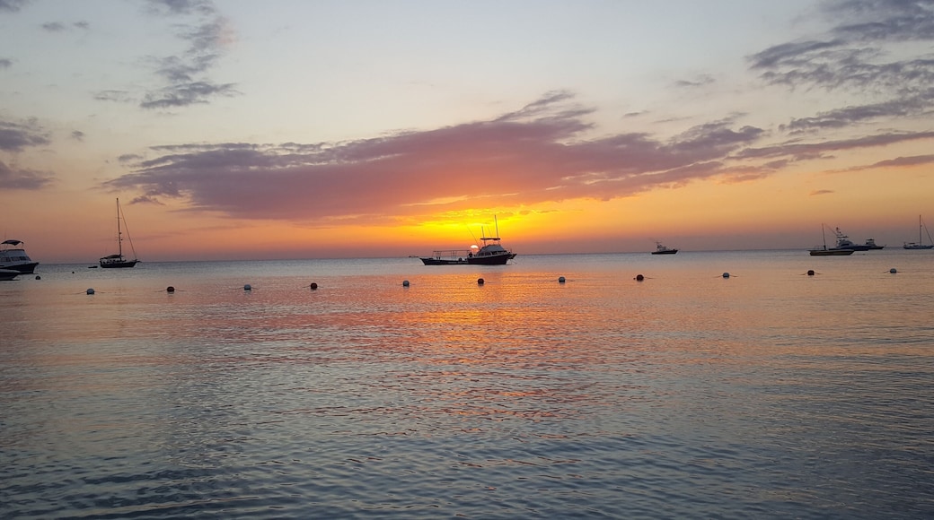 Fishing boats at sunset, beautiful pink and purple sunsets every night of our trip. #LifeAtExpedia