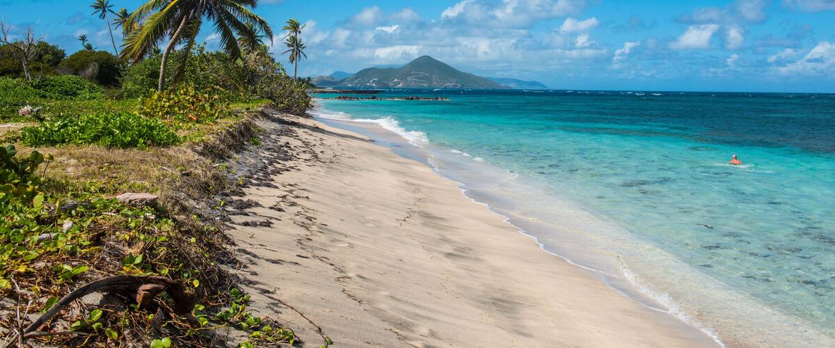 A beach with clear turquoise water, a sandy shore, and palm trees.