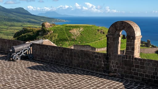 A historic cannon on a brick wall overlooking a coastal landscape with a clear sky.