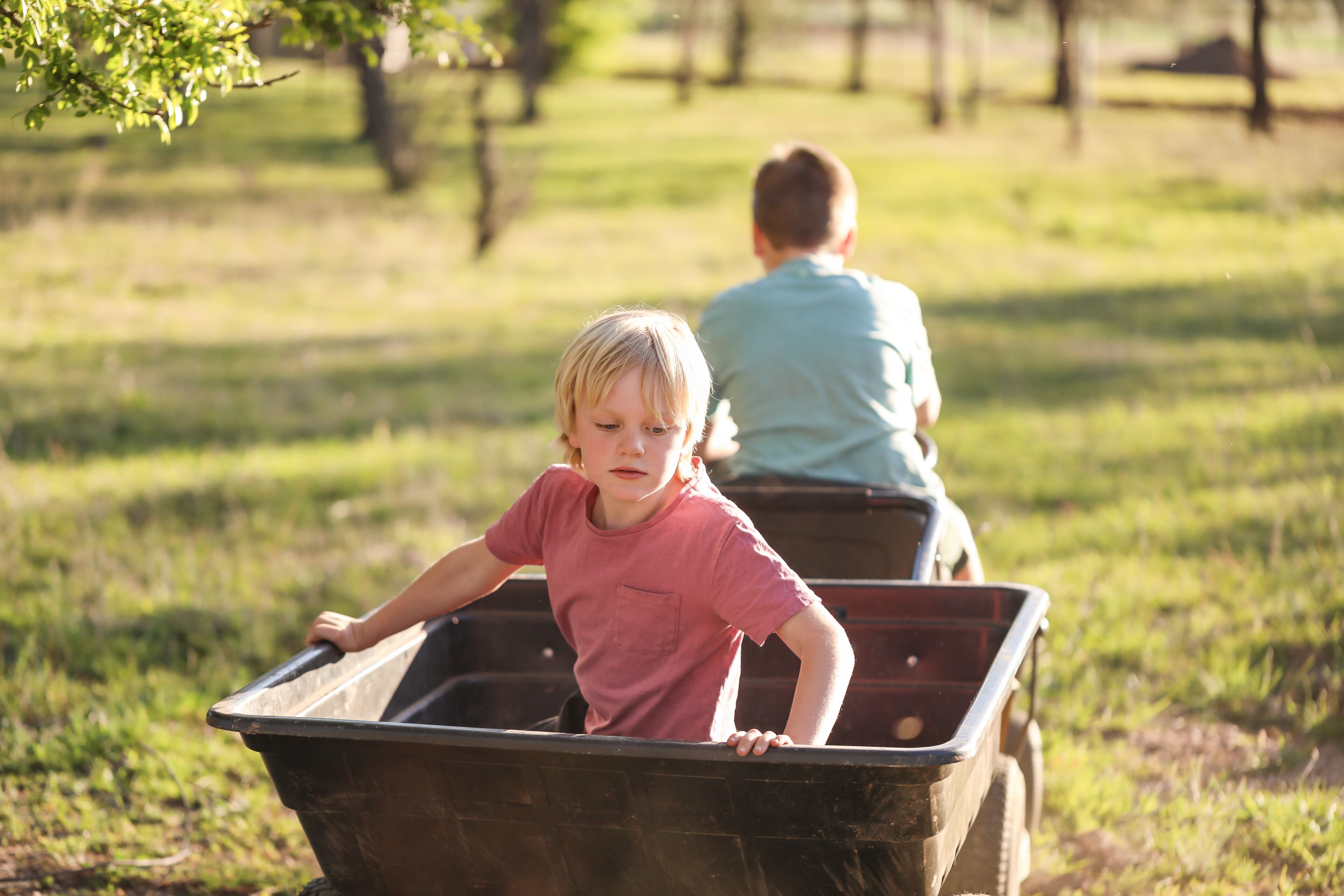 A child in a wheelbarrow on a grassy field with trees in the background.