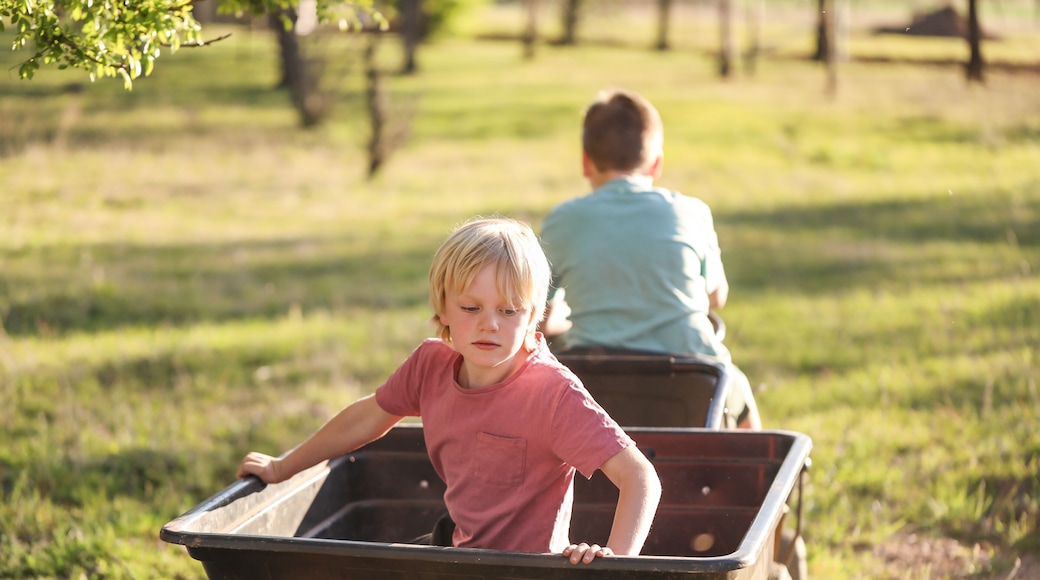 A child in a wheelbarrow on a grassy field with trees in the background.
