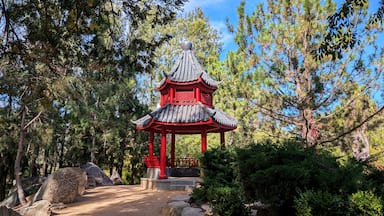 The Lambing Flat Chinese Tribute Garden, Young, NSW, Australia.