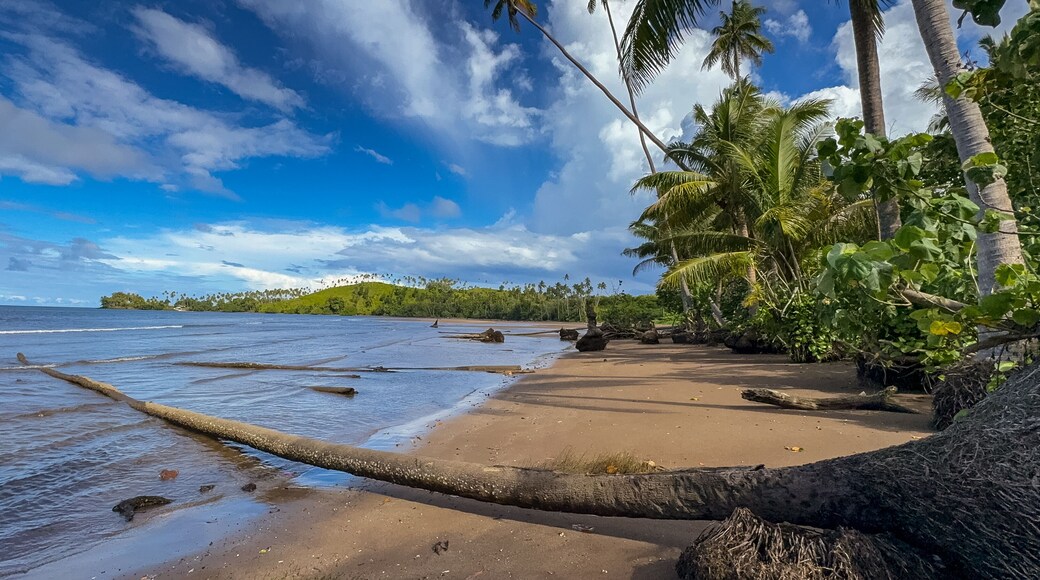 A beach on the tropical island of Taveuni, Fiji