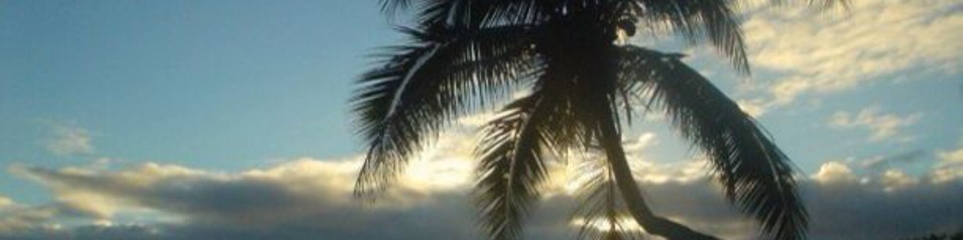 Home away from home. Not many are fortunate enough to visit the island of Gau due to accessibility and there being no resorts there. Those who get to spend time there will remember it for a lifetime