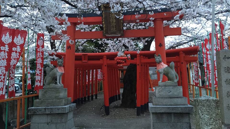 A traditional Japanese torii gate with cherry blossoms in the background.