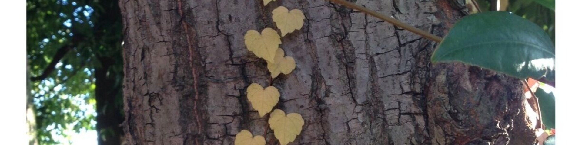 ♡♡♡♡♡♡♡