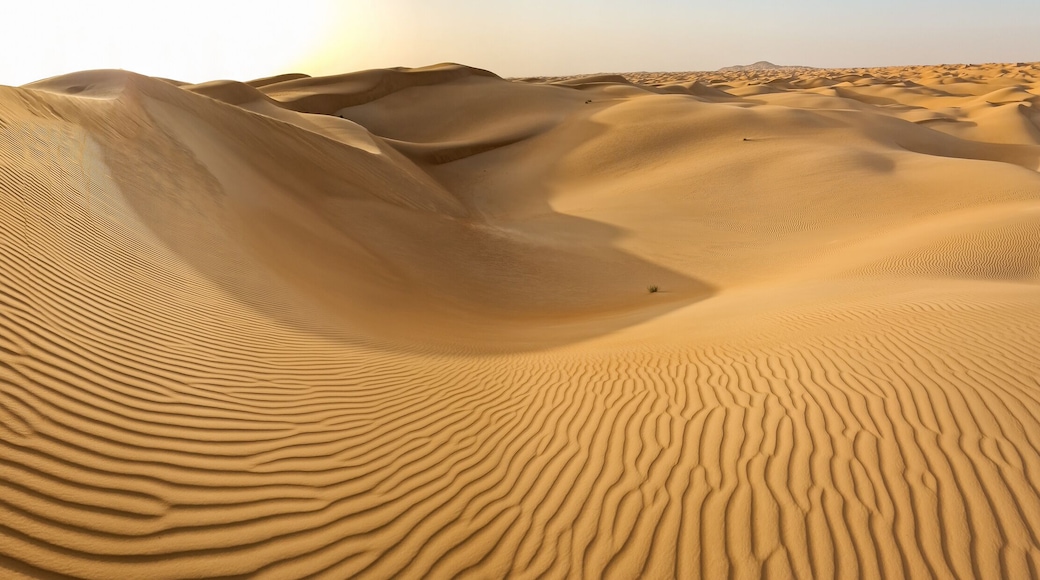 Panorama pf Sahara in Mauritania