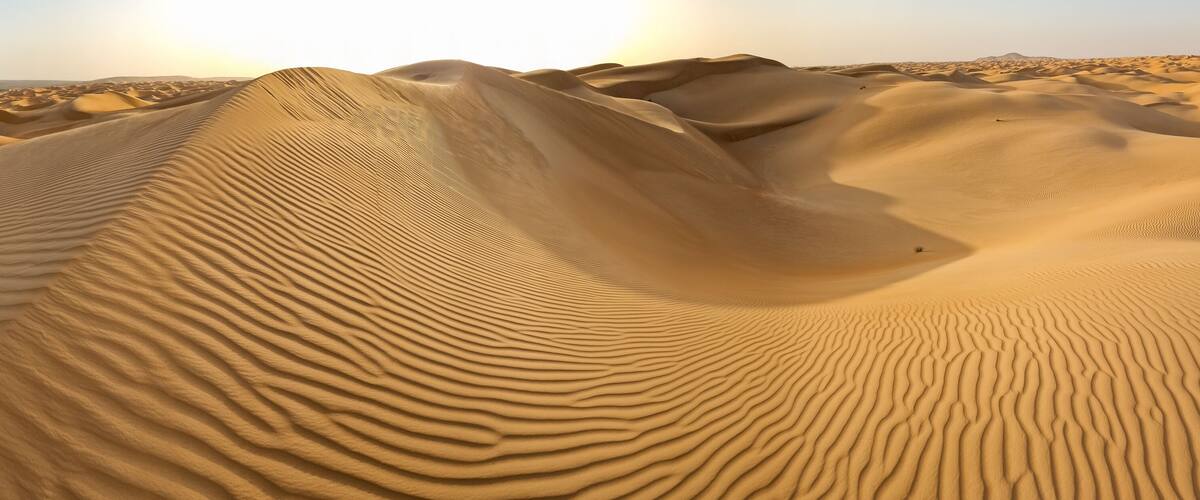A desert landscape with undulating sand dunes and a clear sky.