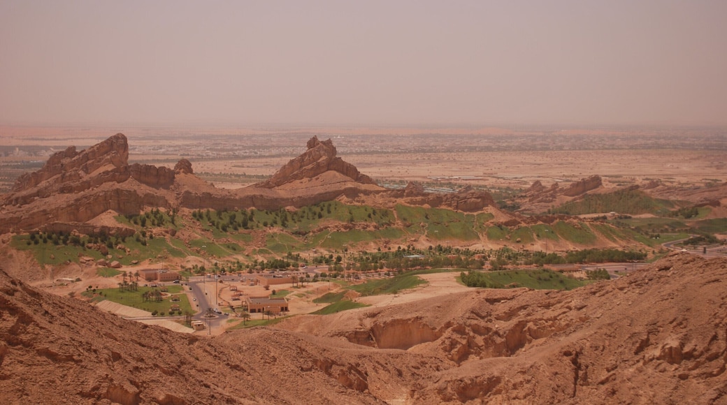 View from the top of Jebel Hafeet